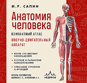 Cilvēka anatomija. Kompakts atlants. Atbalsta un kustību aparāts