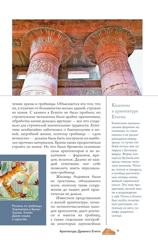 Архитектура. Популярный иллюстрированный гид