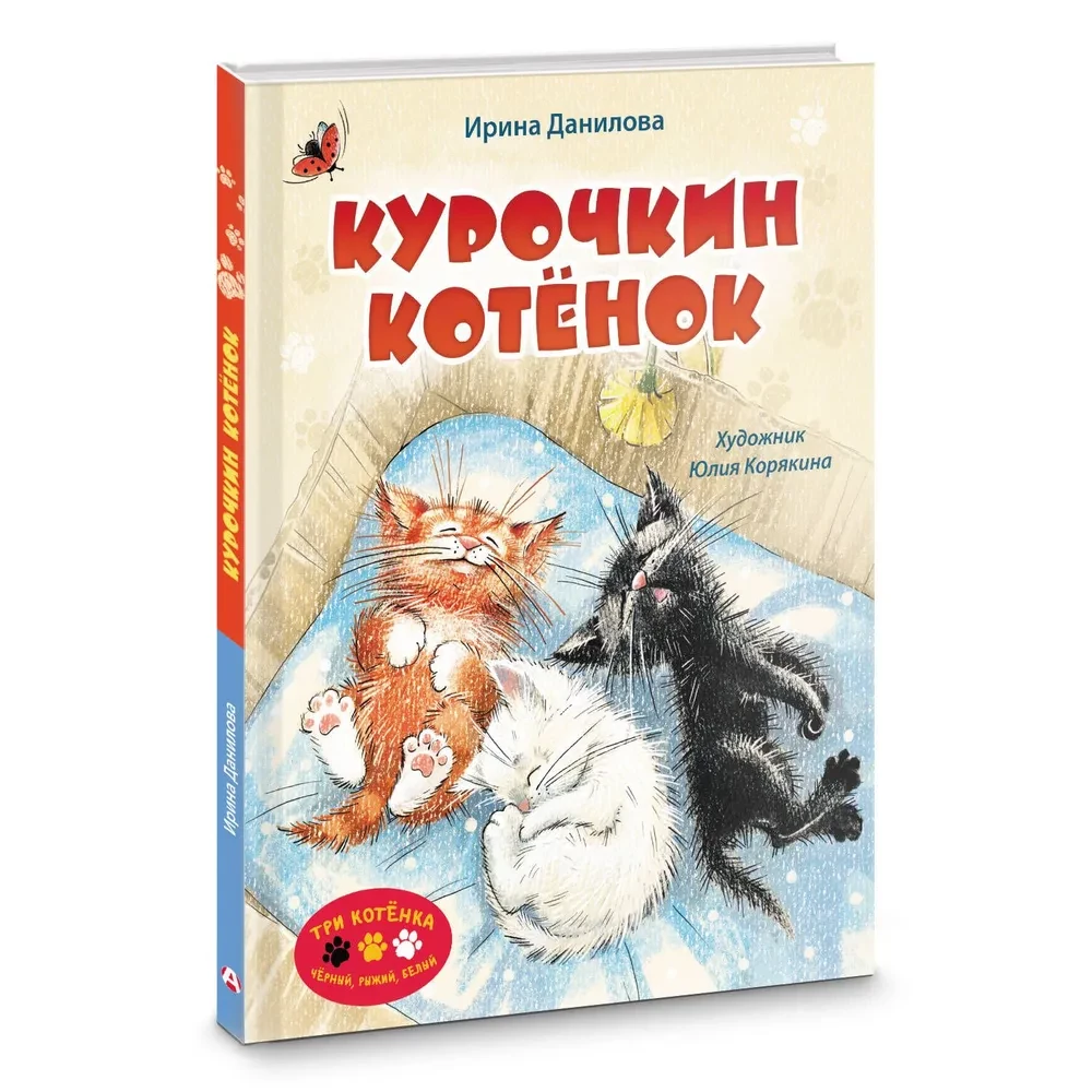 Kuriķu kaķēns