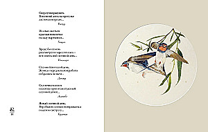 Pasaule lietus pilienā. Rudens. Ziemā. Haiku visiem laikiem