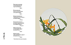 Pasaule lietus pilienā. Rudens. Ziemā. Haiku visiem laikiem