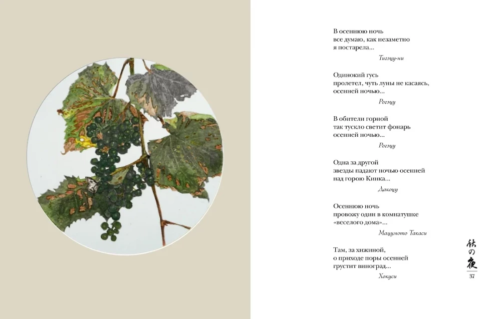 Pasaule lietus pilienā. Rudens. Ziemā. Haiku visiem laikiem