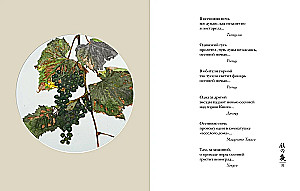 Pasaule lietus pilienā. Rudens. Ziemā. Haiku visiem laikiem