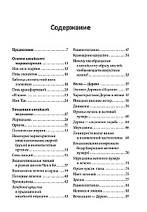 Пять сезонов энергии. Китайская медицина на каждый день