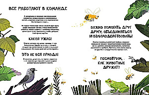 Вместе лучше! Командная работа в мире животных