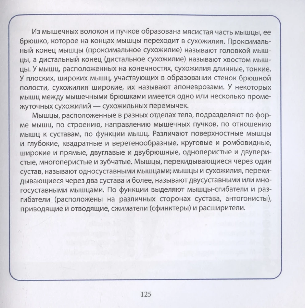 Cilvēka anatomija. Kompakts atlants. Atbalsta un kustību aparāts