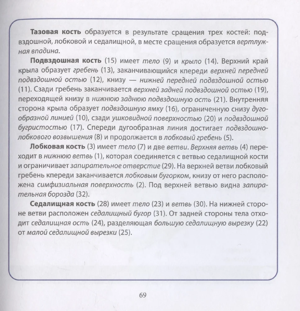 Cilvēka anatomija. Kompakts atlants. Atbalsta un kustību aparāts