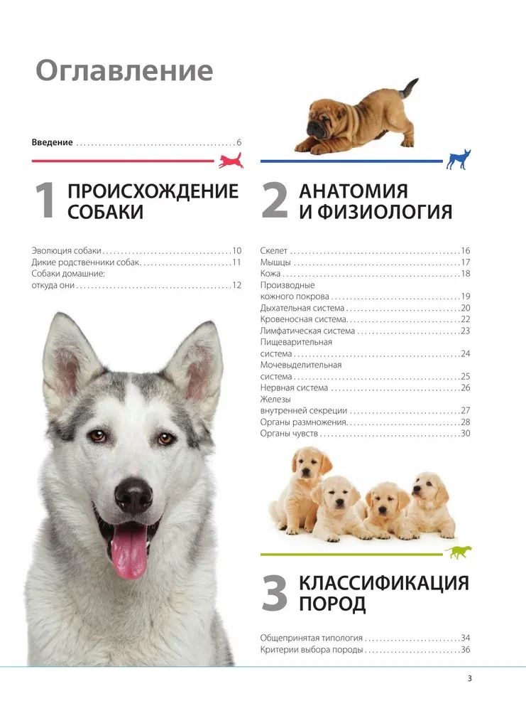 Suņi. Dāvanas ilustrētā enciklopēdija