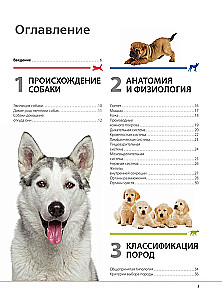 Suņi. Dāvanas ilustrētā enciklopēdija