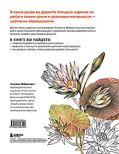 Liela krāsu zīmuļu grāmata. Pilnīgs ceļvedis darbam no nulles