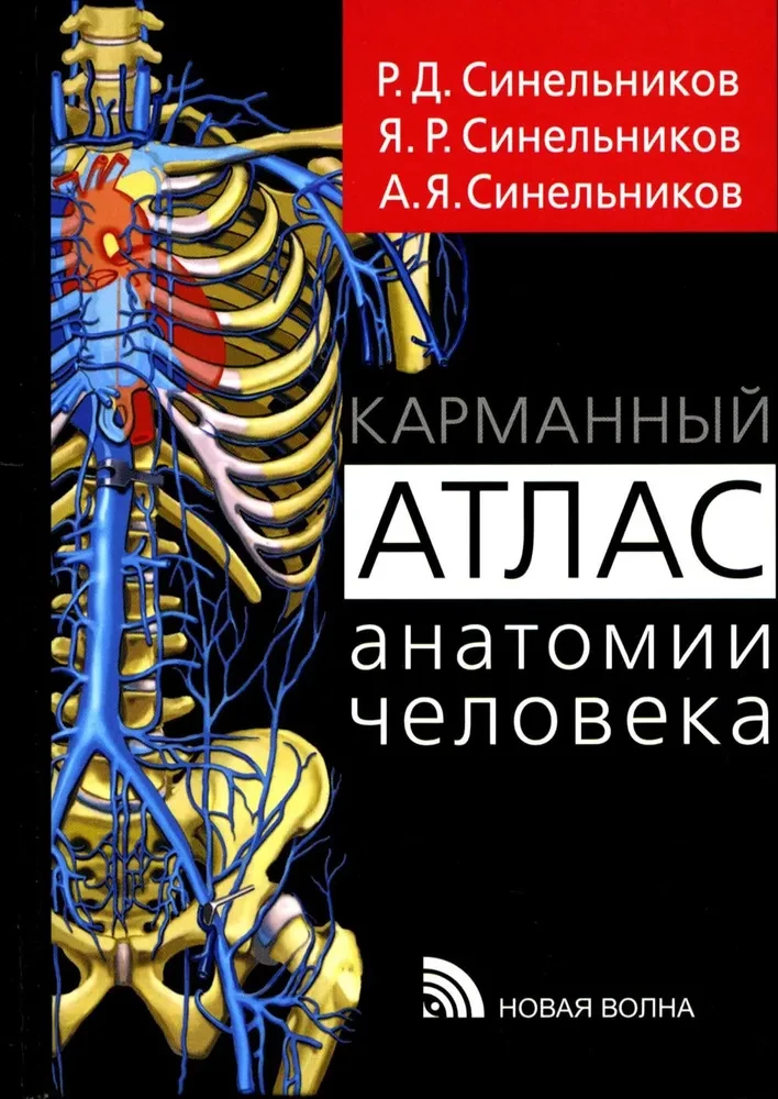 Kabatas anatomijas atlants
