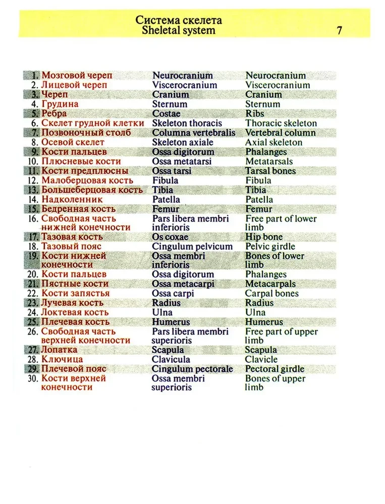 Kabatas anatomijas atlants