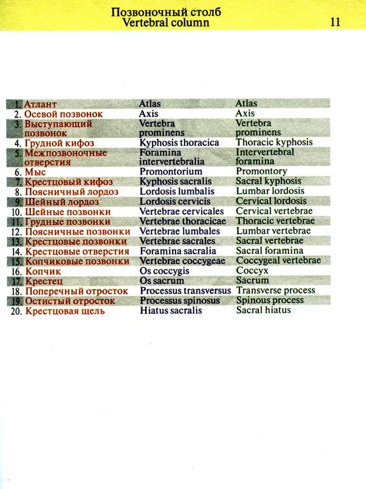 Kabatas anatomijas atlants