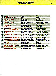 Kabatas anatomijas atlants