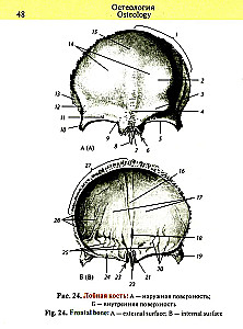 Kabatas anatomijas atlants