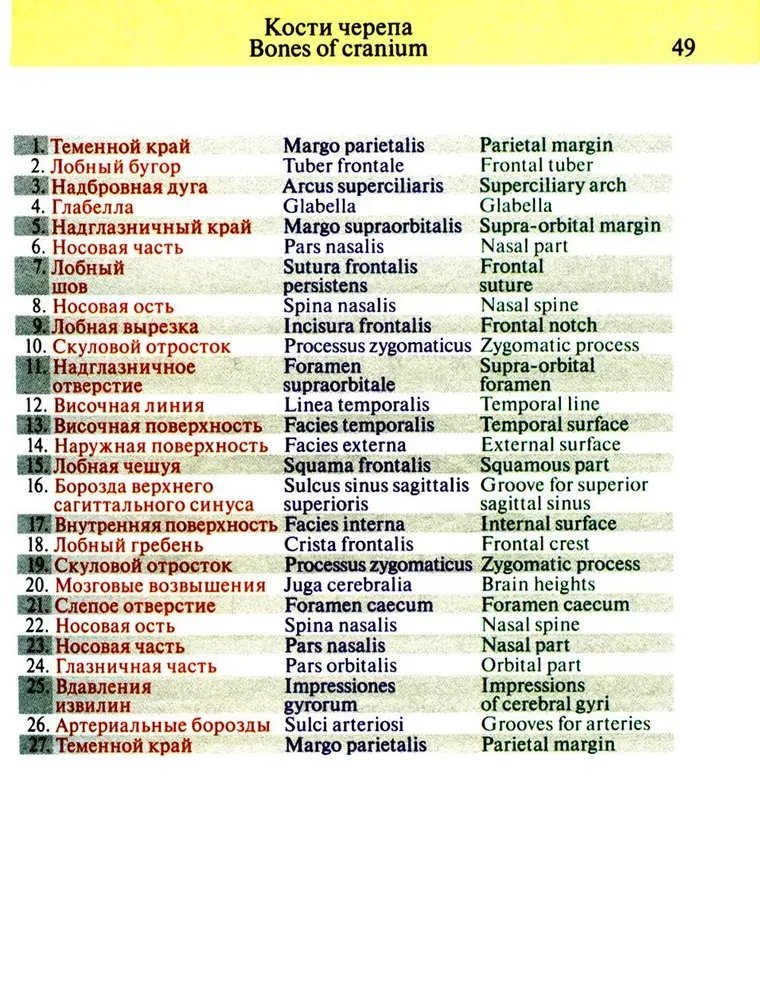 Kabatas anatomijas atlants