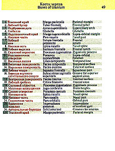 Kabatas anatomijas atlants