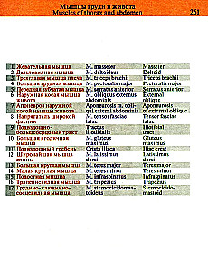 Kabatas anatomijas atlants