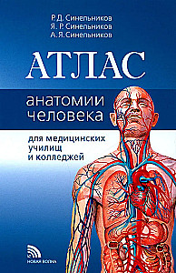 Anatomijas atlants medicīnas skolām