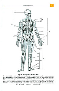 Anatomijas atlants medicīnas skolām