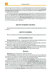 Anatomijas atlants medicīnas skolām
