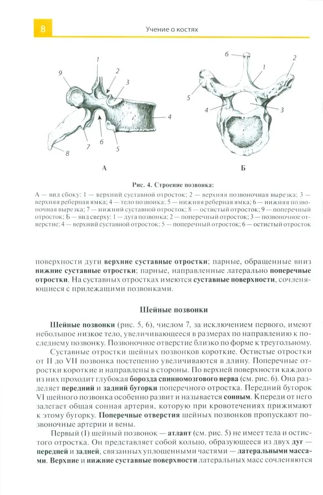 Anatomijas atlants medicīnas skolām