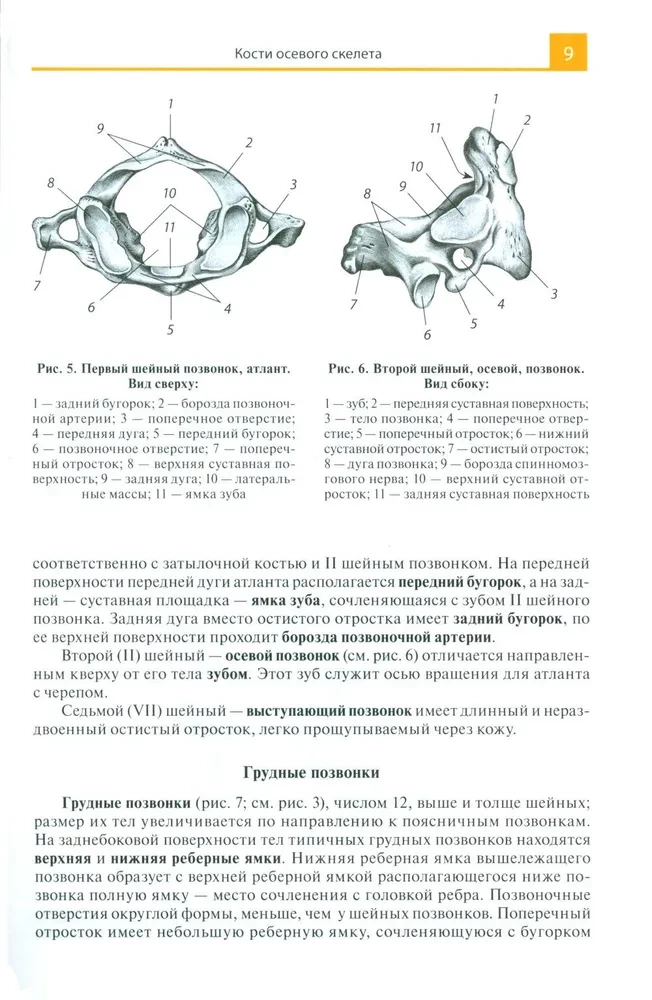 Anatomijas atlants medicīnas skolām