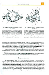 Anatomijas atlants medicīnas skolām