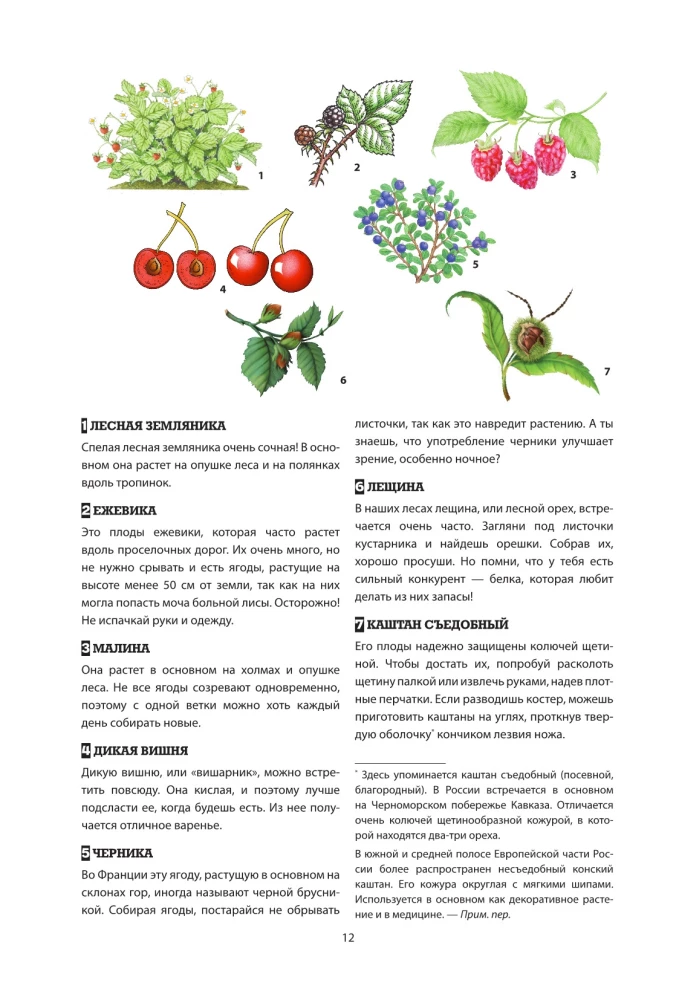 Piedzīvojumu meklētājs. Jaunā ceļotāja rokasgrāmata. Kā jautri un droši pavadīt laiku dabā