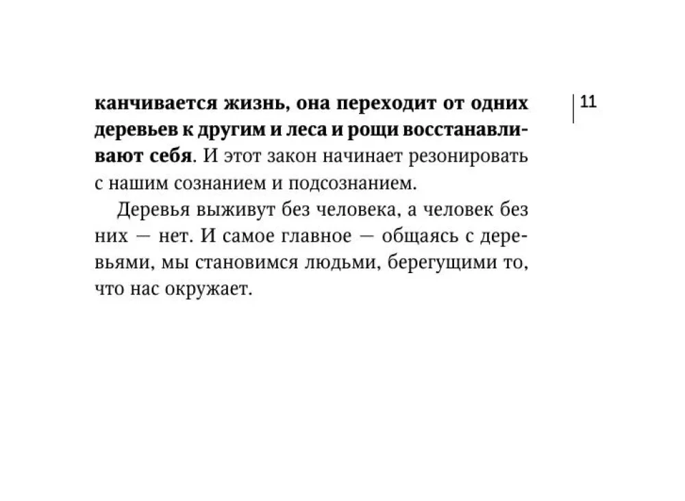 Burvju druidu kartes. Zaļā maģija aizsardzībai un pareģošanai. Aven kāršu komplekts