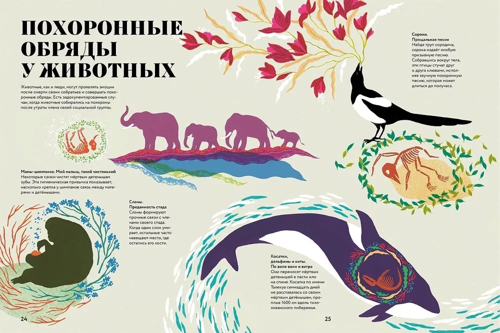 Чудесная книга смерти