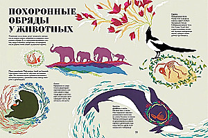 Чудесная книга смерти