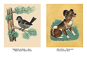 Kas? Kā?