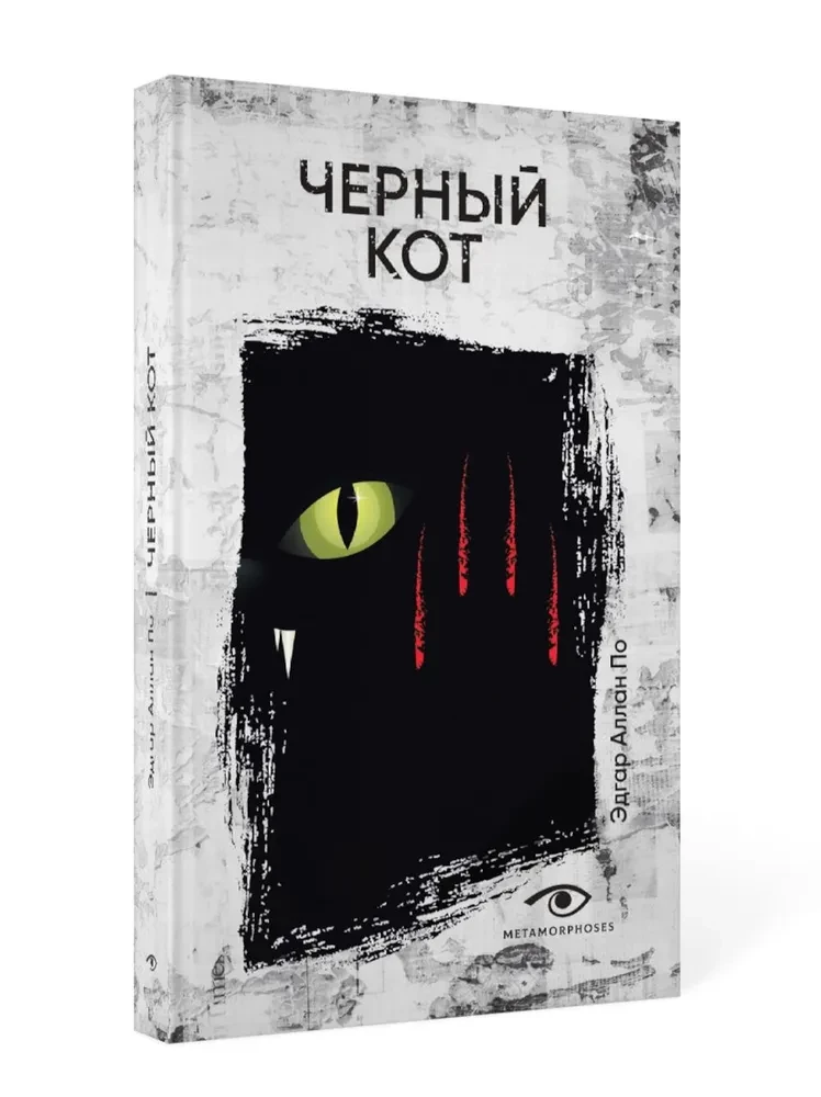 Черный кот