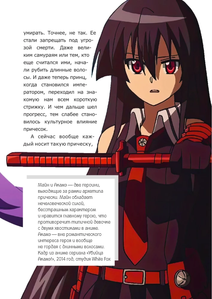Anime kultūra: filozofija, žanri un meitenes