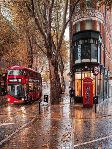 Glezna pēc numuriem - Rudenīgais Londona