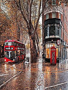 Glezna pēc numuriem - Rudenīgais Londona