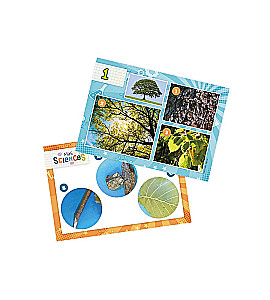 Детский микроскоп, Mini Sciences
