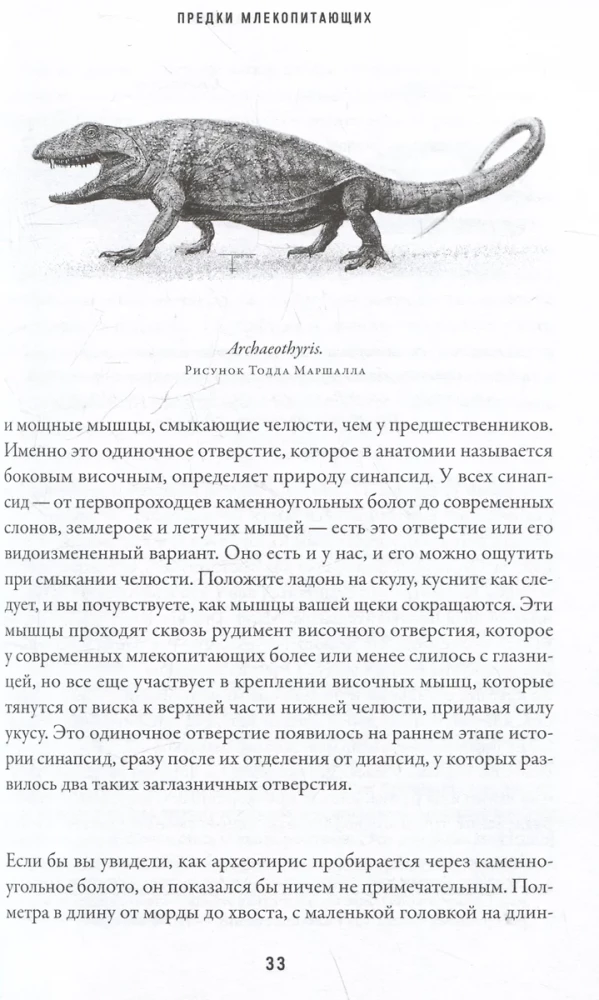 Mammāļu ēra. No dinozauru ēnas uz pasaules dominēšanu