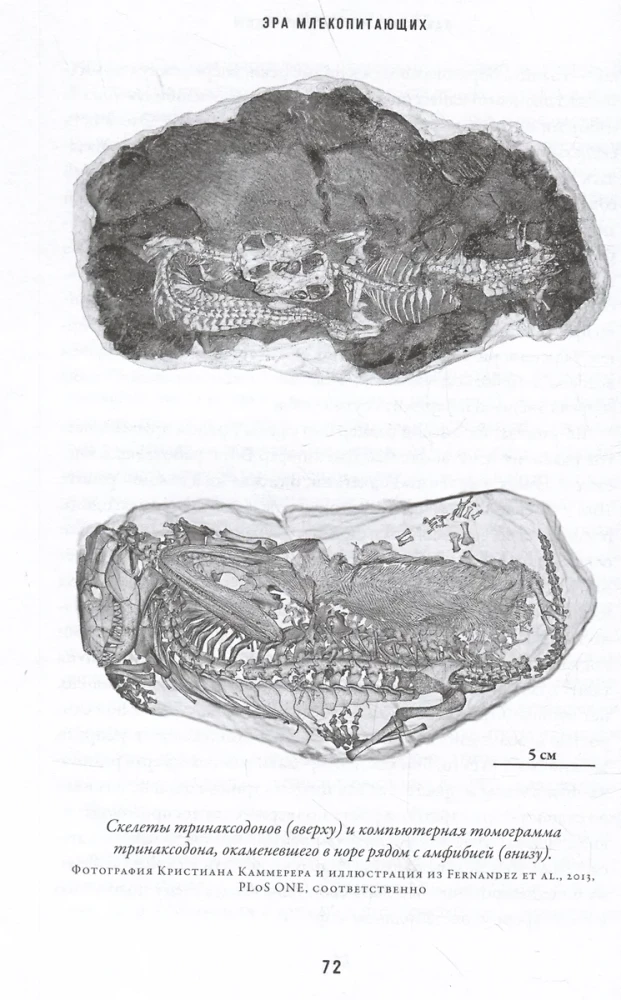 Mammāļu ēra. No dinozauru ēnas uz pasaules dominēšanu