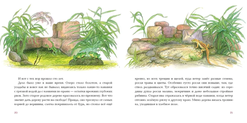Всему своё место
