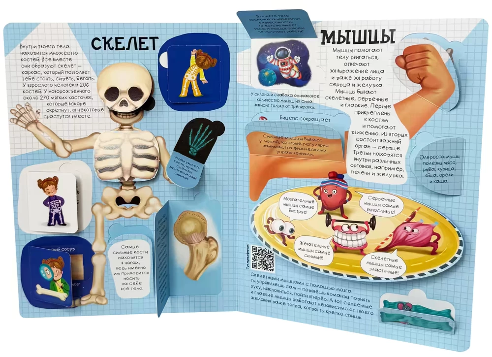 Kā iekārtots tavs ķermenis
