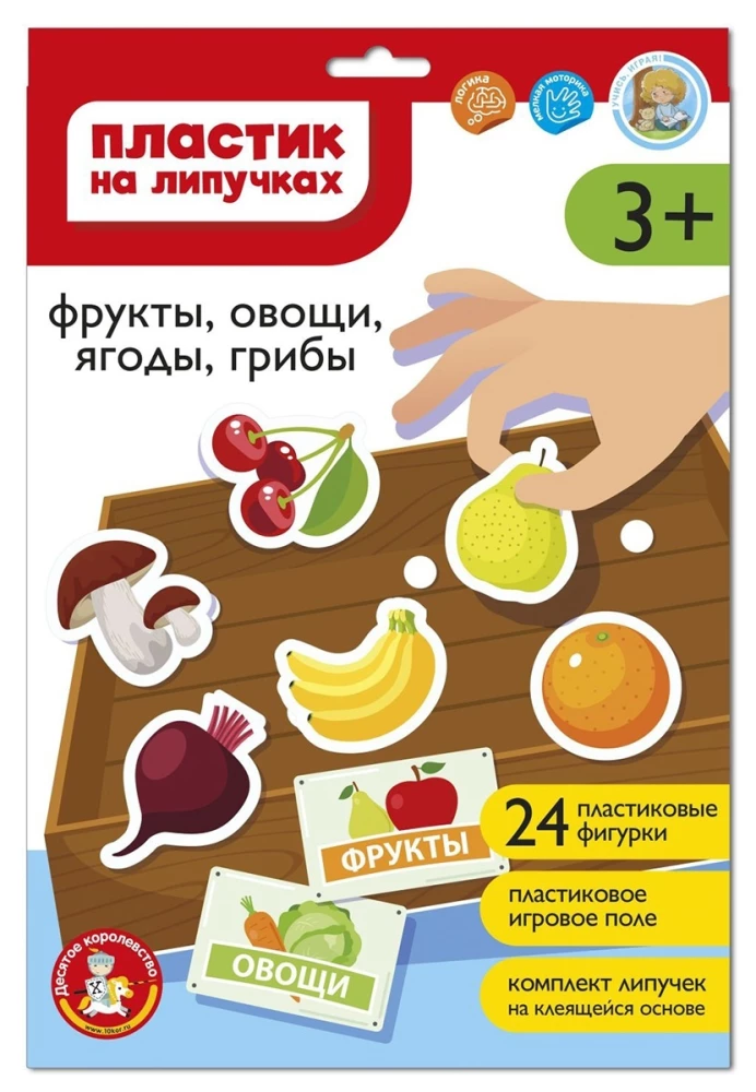 Plastmasa uz lipīgām - Augļi, dārzeņi, ogas, sēnes (A4 aploksnē)