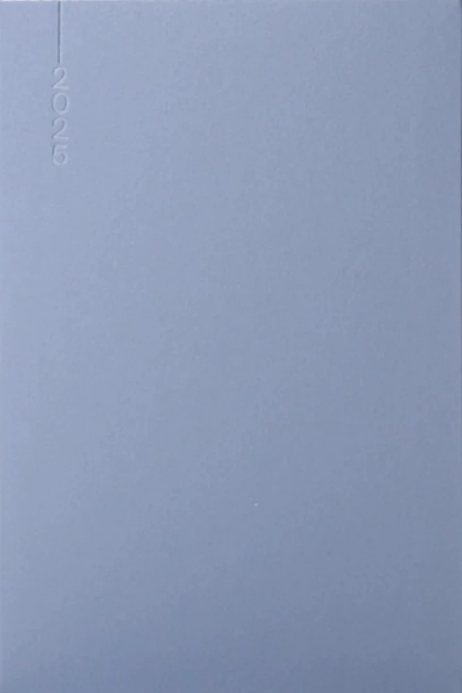 Ежедневник - QUADRO 2025, серый
