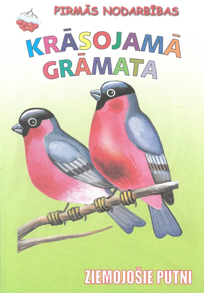 Krāsojamā grāmata - Ziemojošie putni