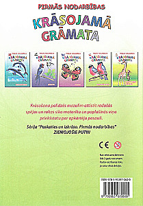 Krāsojamā grāmata - Ziemojošie putni