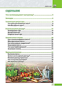 Здоровая рассада. Выращиваем сами
