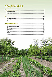 Sīpoli, ķiploki, zaļumi. Stādīšana. Kopšana. Aizsardzība. Novākšana. Glabāšana