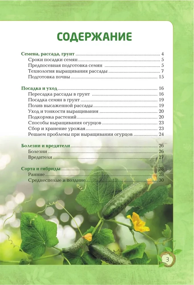 Огурцы. Богатый урожай без ошибок