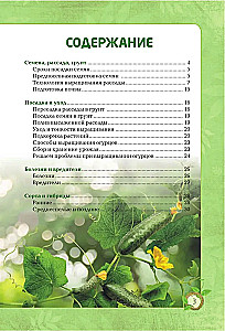 Огурцы. Богатый урожай без ошибок